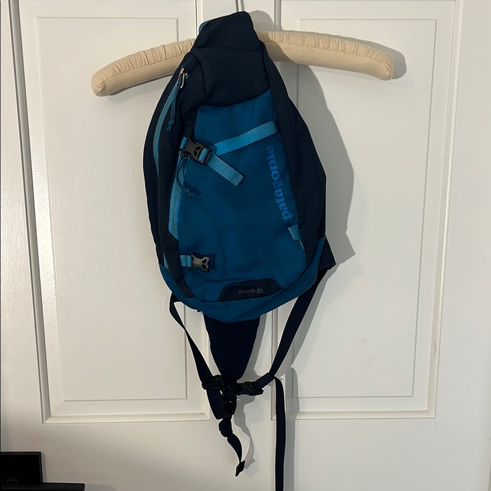 Patagonia Blue Sling Pack - Compact Men’s Bag